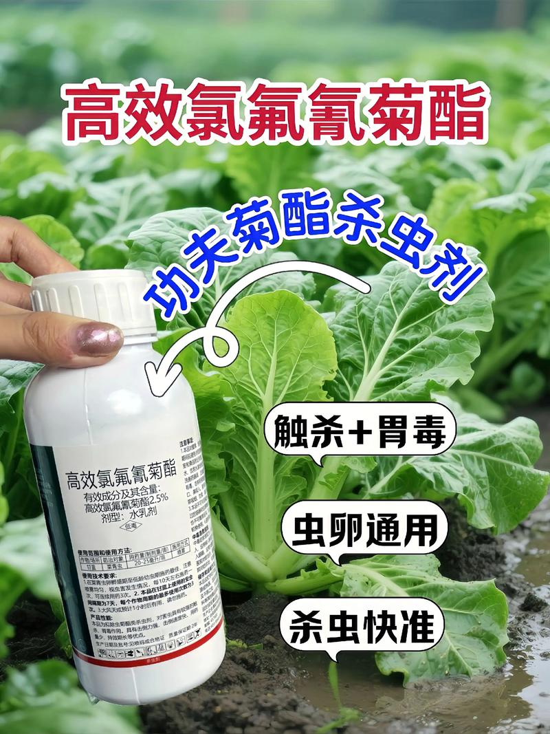 阿拉善代生中心:农药对供卵代生妈妈的危害