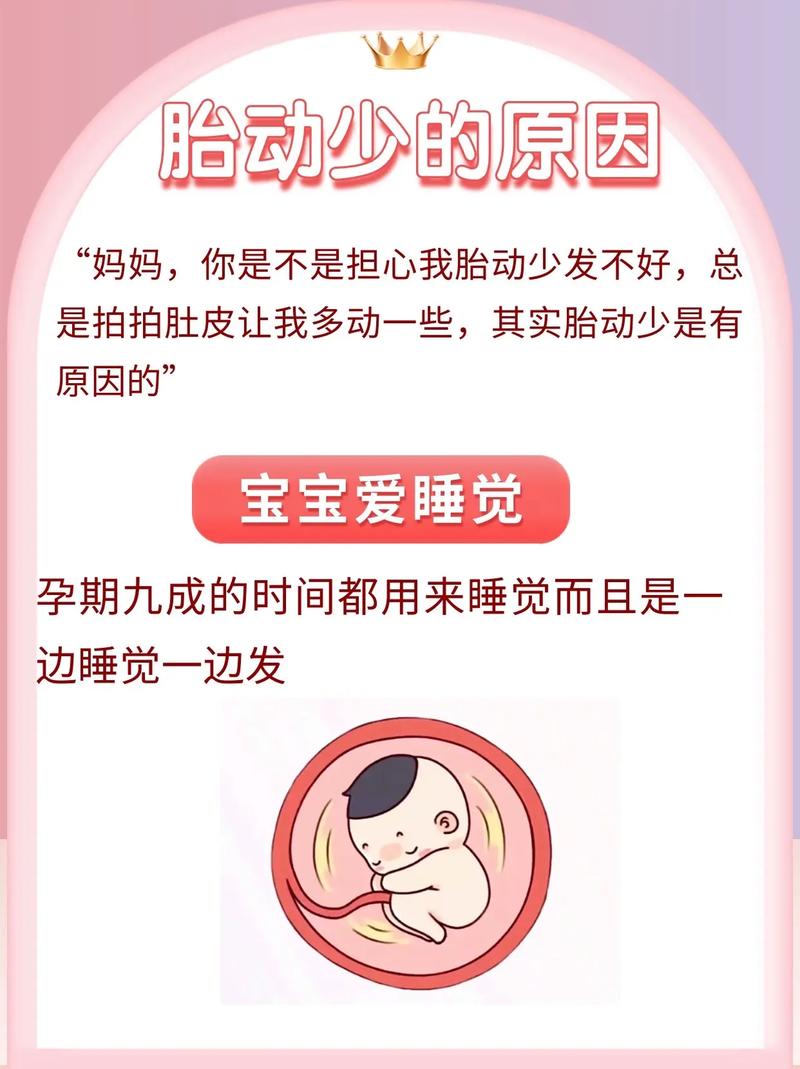 阿拉善借卵代怀:宝宝胎动少怎么回事